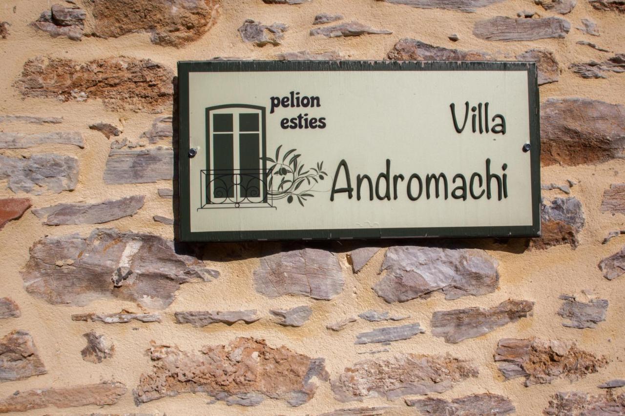 Villa Andromachi By Pelion Esties Ano Gatzea ภายนอก รูปภาพ